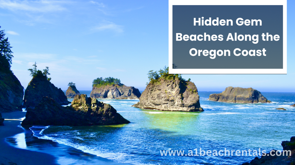 Hidden Gem Beaches Along the Oregon Coast