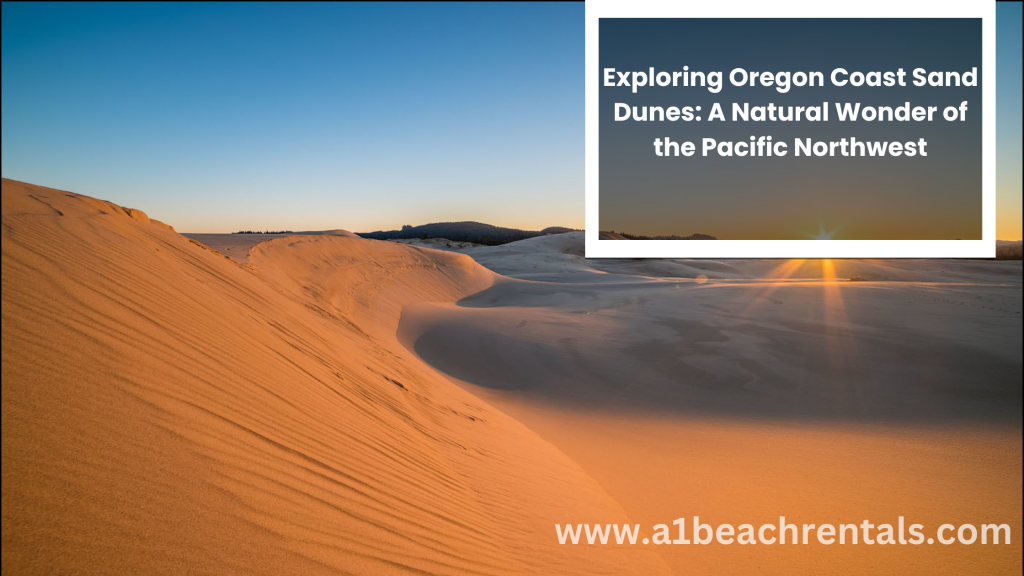 Exploring Oregon Coast Sand Dunes