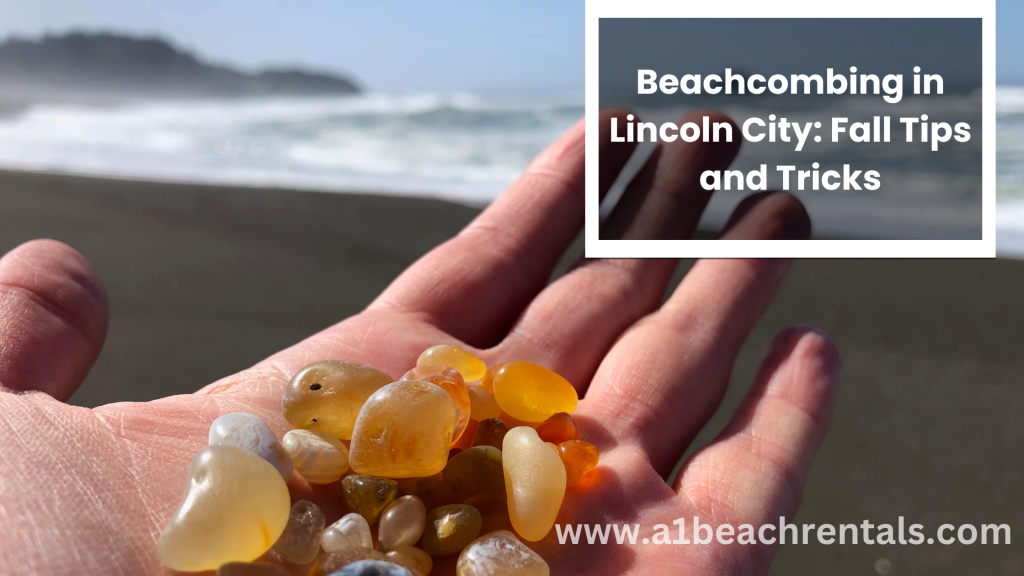 Beachcombing in Lincoln City: Fall Tips and Tricks