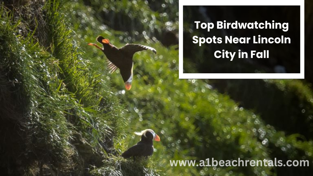 Top Birdwatching Spots Near Lincoln City in Fall