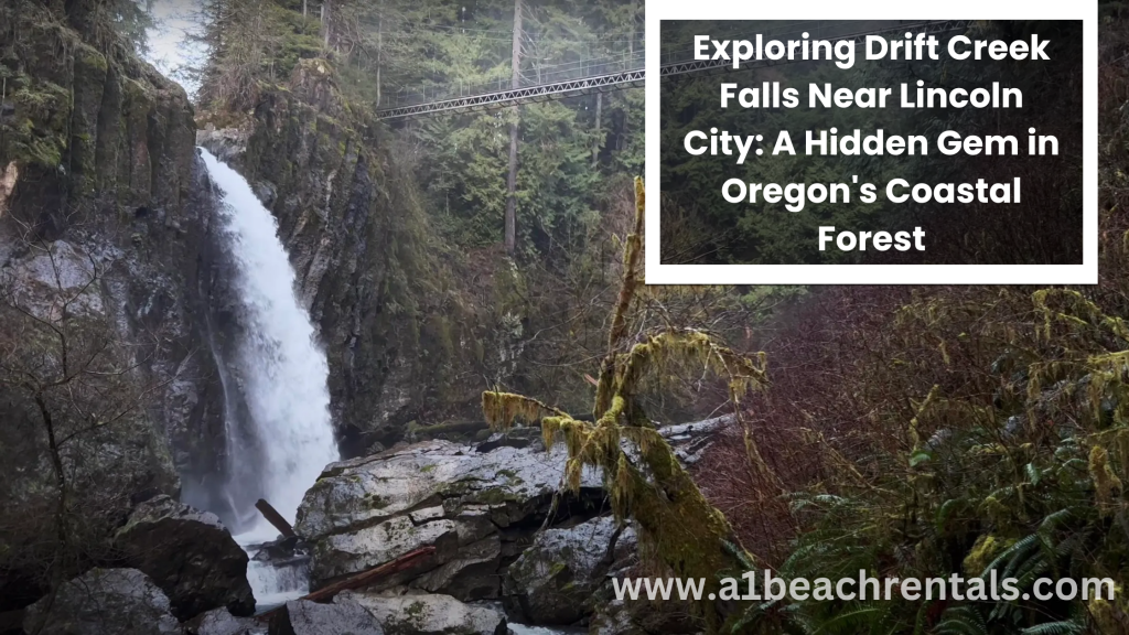 Exploring Drift Creek Falls Near Lincoln City