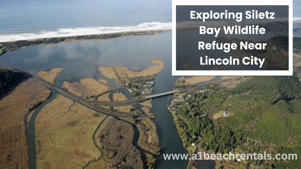 Exploring Siletz Bay Wildlife Refuge Near Lincoln City