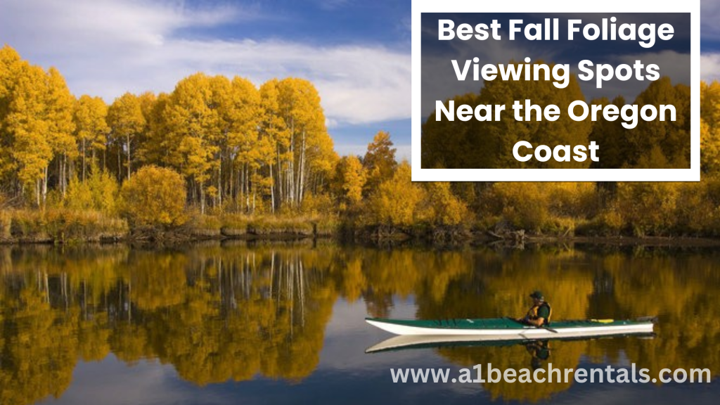 Best Fall Foliage Viewing Spots Near the Oregon Coast