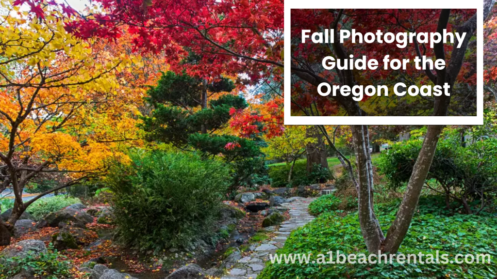 Fall Photography Guide for the Oregon Coast