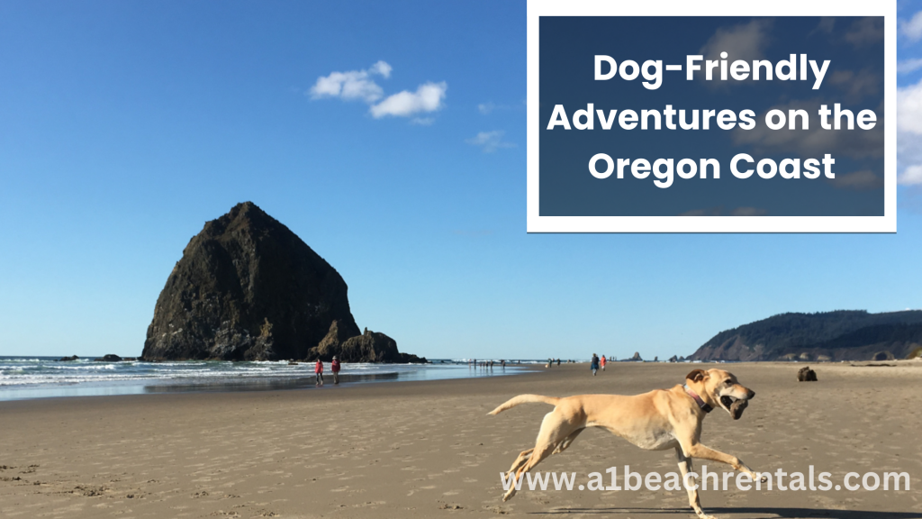 Dog-Friendly Adventures on the Oregon Coast