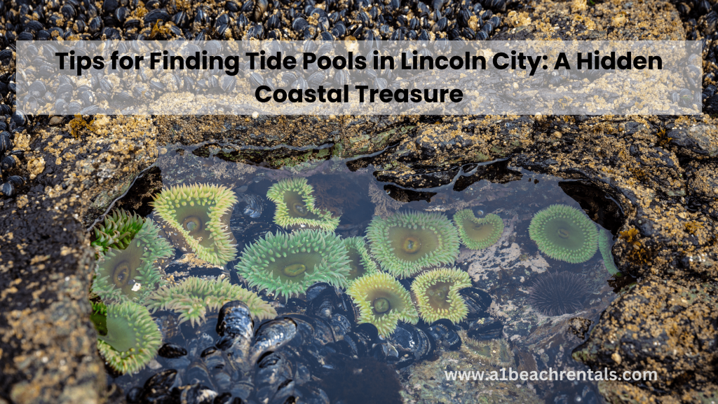 Tips for Finding Tide Pools in Lincoln City: A Hidden Coastal Treasure